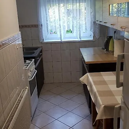 Domki Letniskowe 